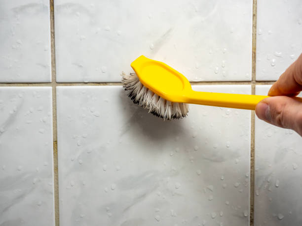 Best Insurance-Related Mold Remediation in Monticello, FL