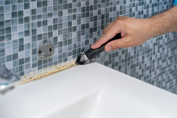 Best Bathroom Mold Remediation in Monticello, FL